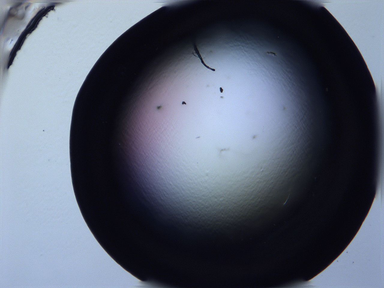 0616_D9_ImagerDefaults_0.jpg