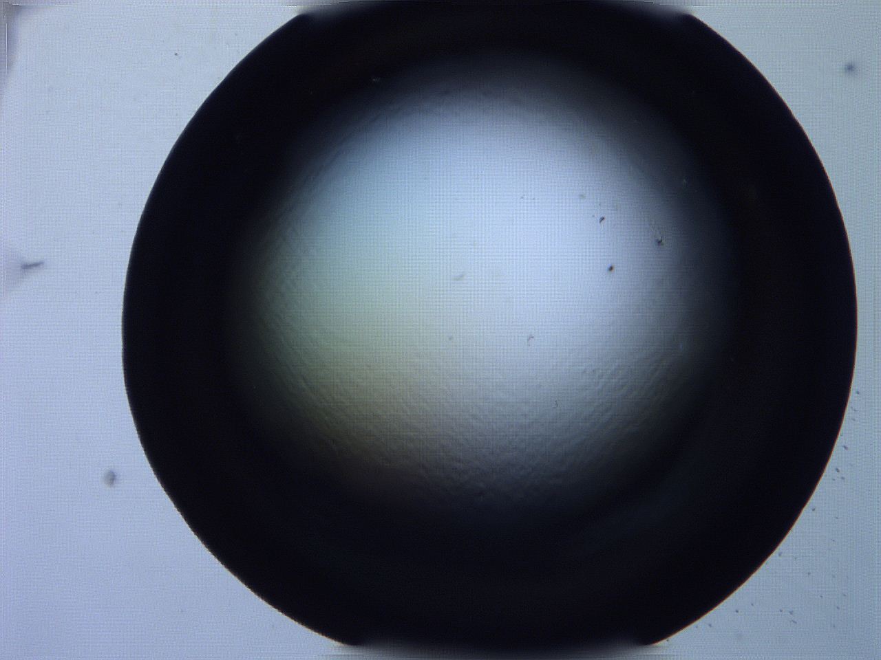 0616_D10_ImagerDefaults_0.jpg