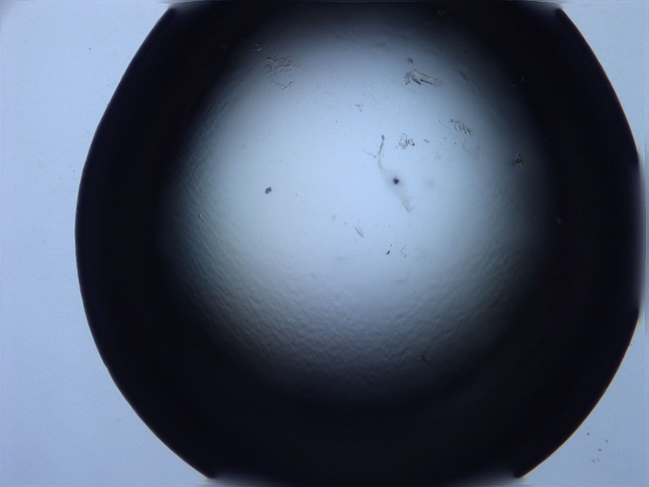 0616_D11_ImagerDefaults_0.jpg