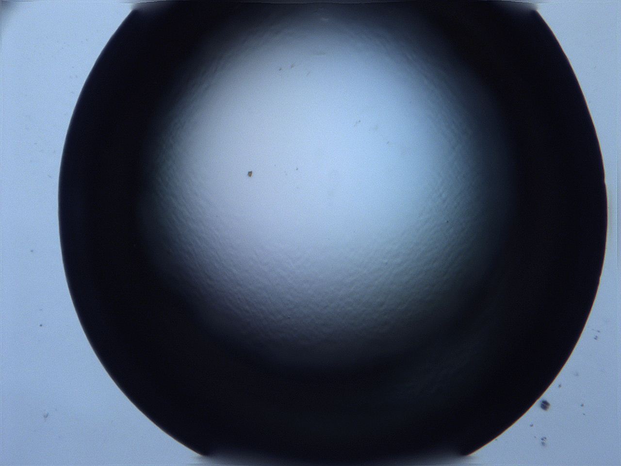 0616_D12_ImagerDefaults_0.jpg