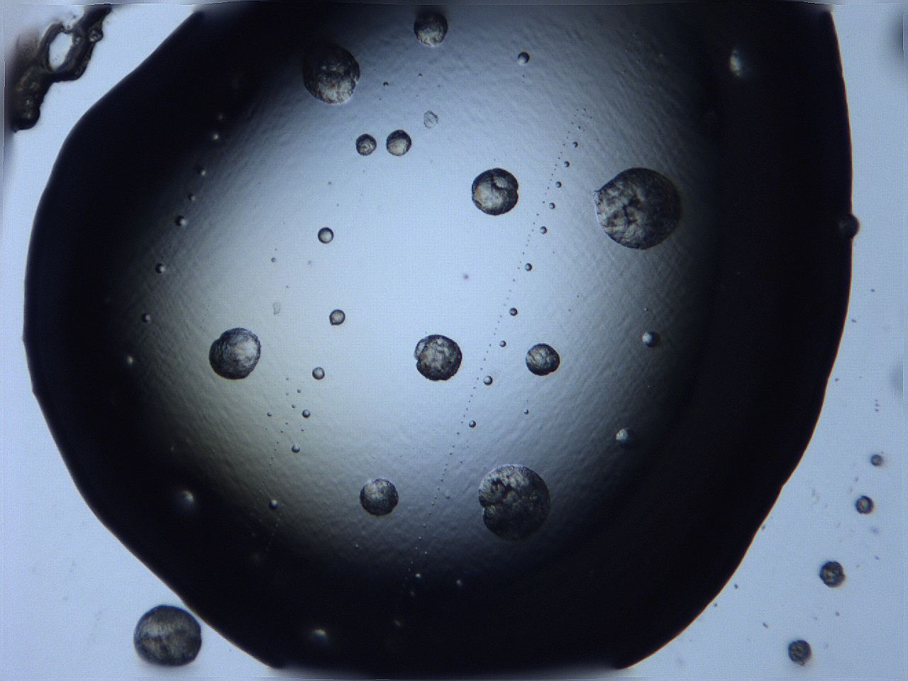 0616_E1_ImagerDefaults_9.jpg