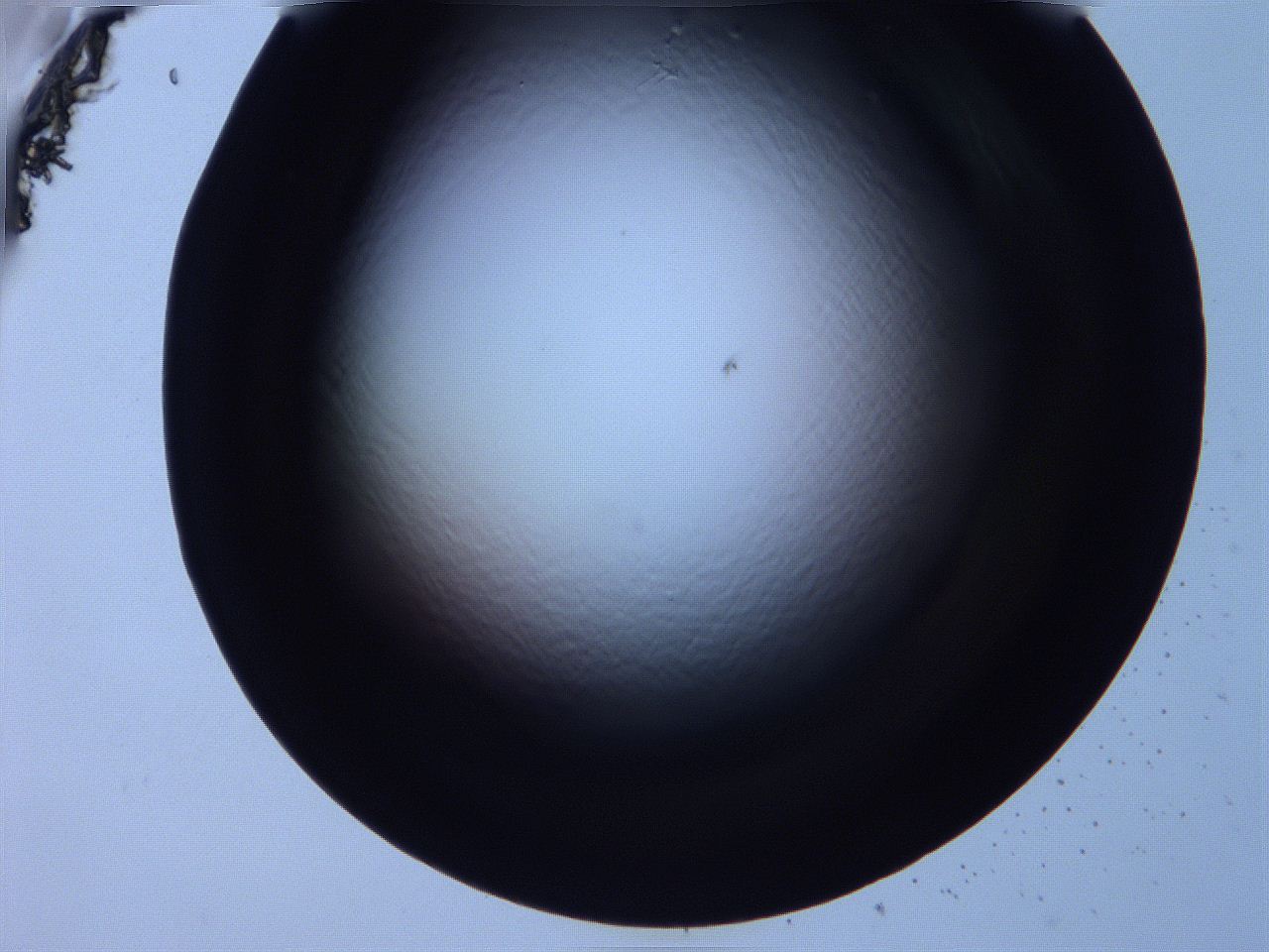0616_E2_ImagerDefaults_0.jpg