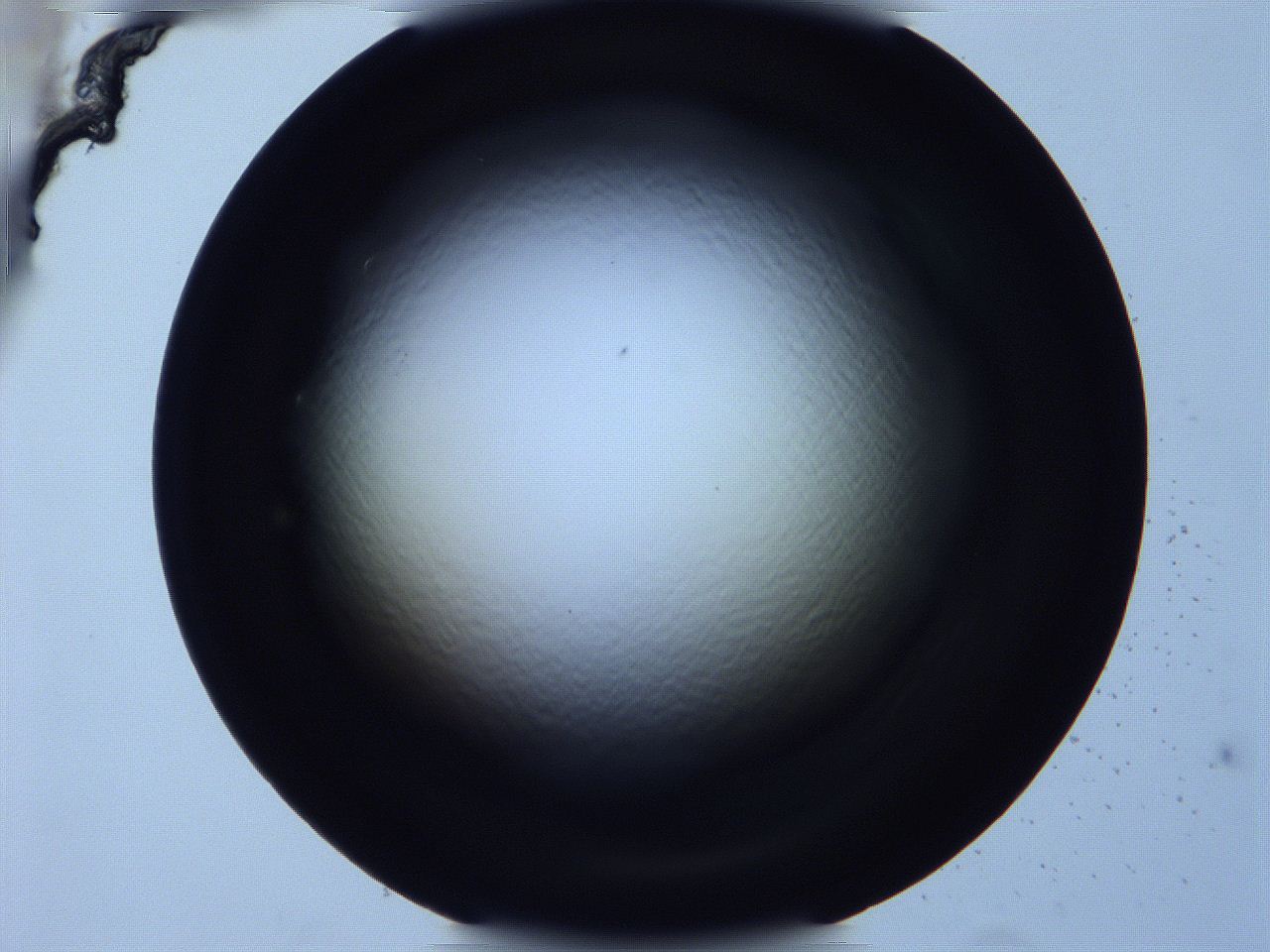 0616_E3_ImagerDefaults_9.jpg