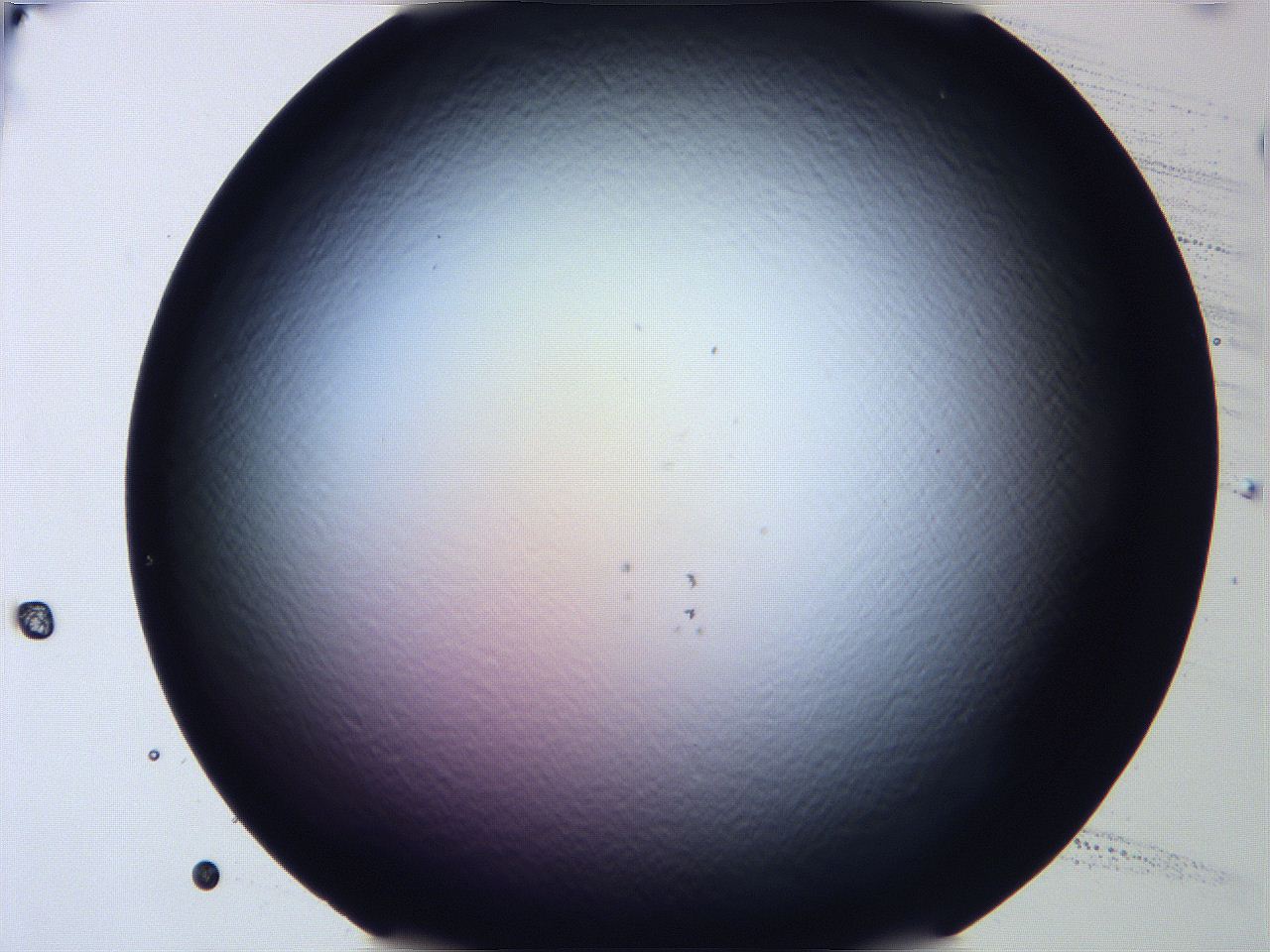0616_E4_ImagerDefaults_0.jpg