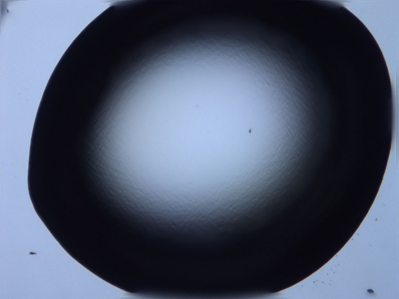 0616_E5_ImagerDefaults_0.jpg