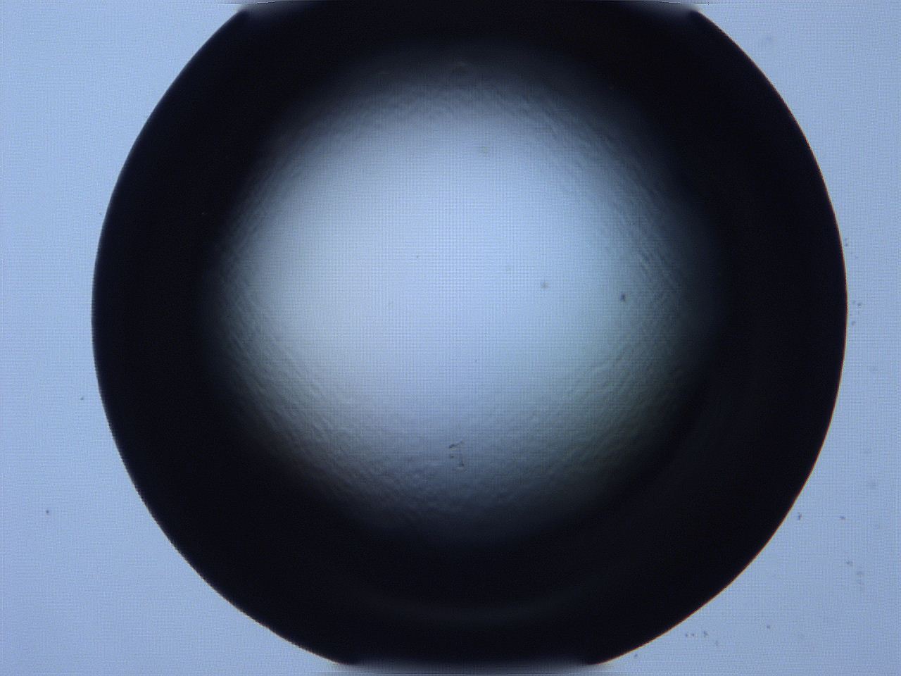 0616_E6_ImagerDefaults_0.jpg