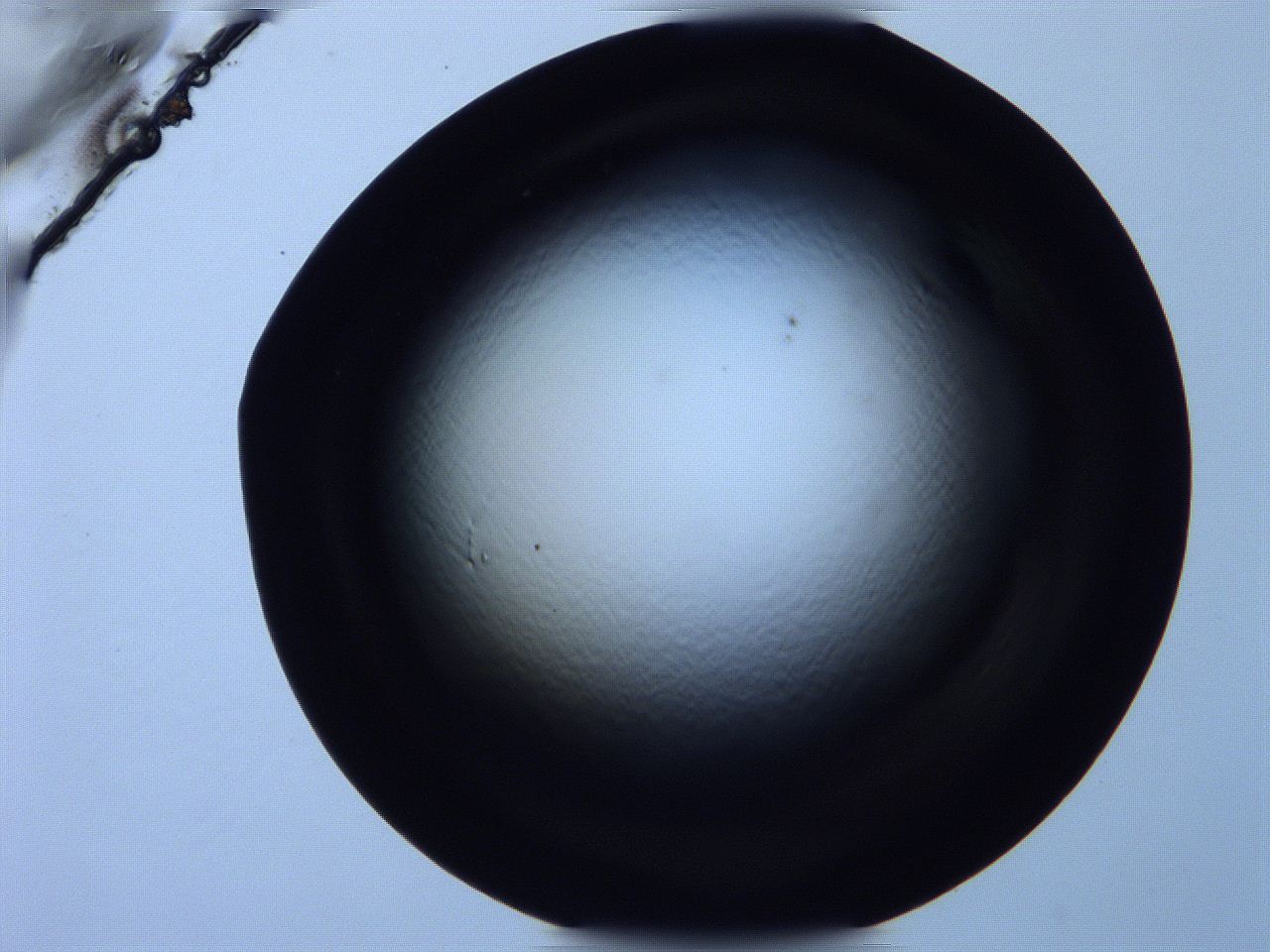 0616_E7_ImagerDefaults_0.jpg