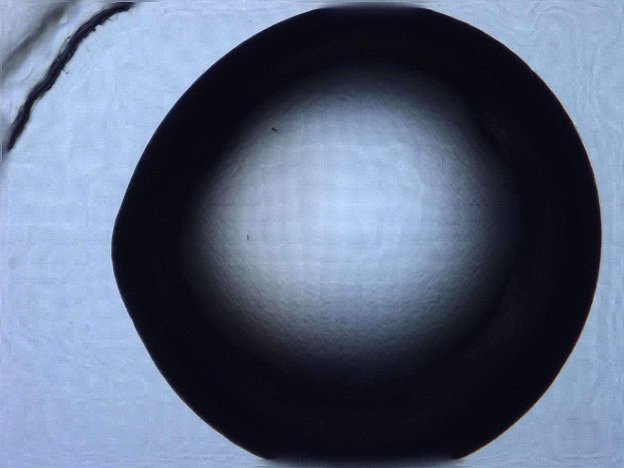 0616_E8_ImagerDefaults_0.jpg