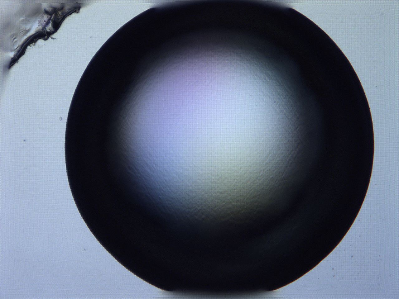 0616_E9_ImagerDefaults_0.jpg
