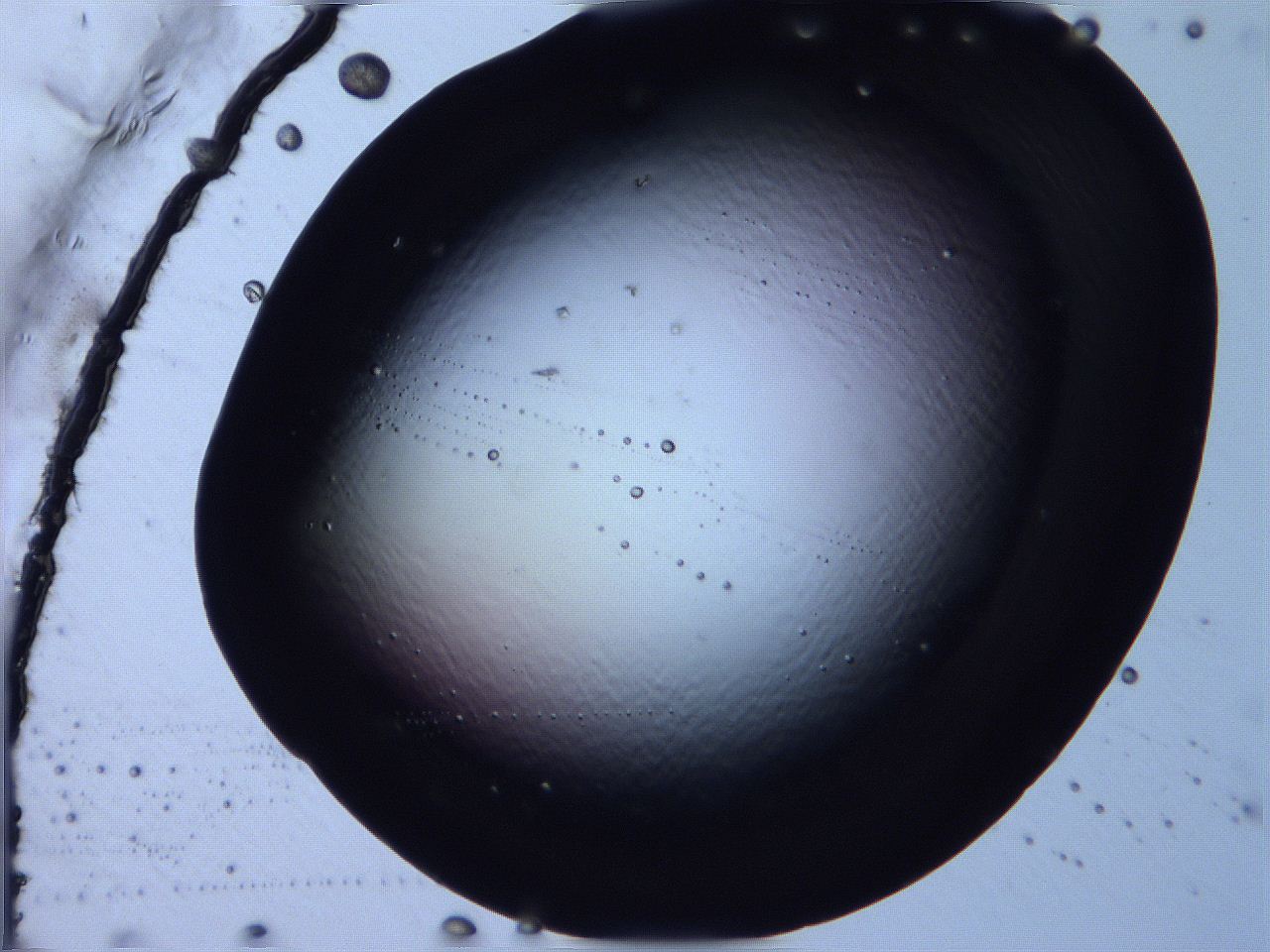 0616_F1_ImagerDefaults_0.jpg