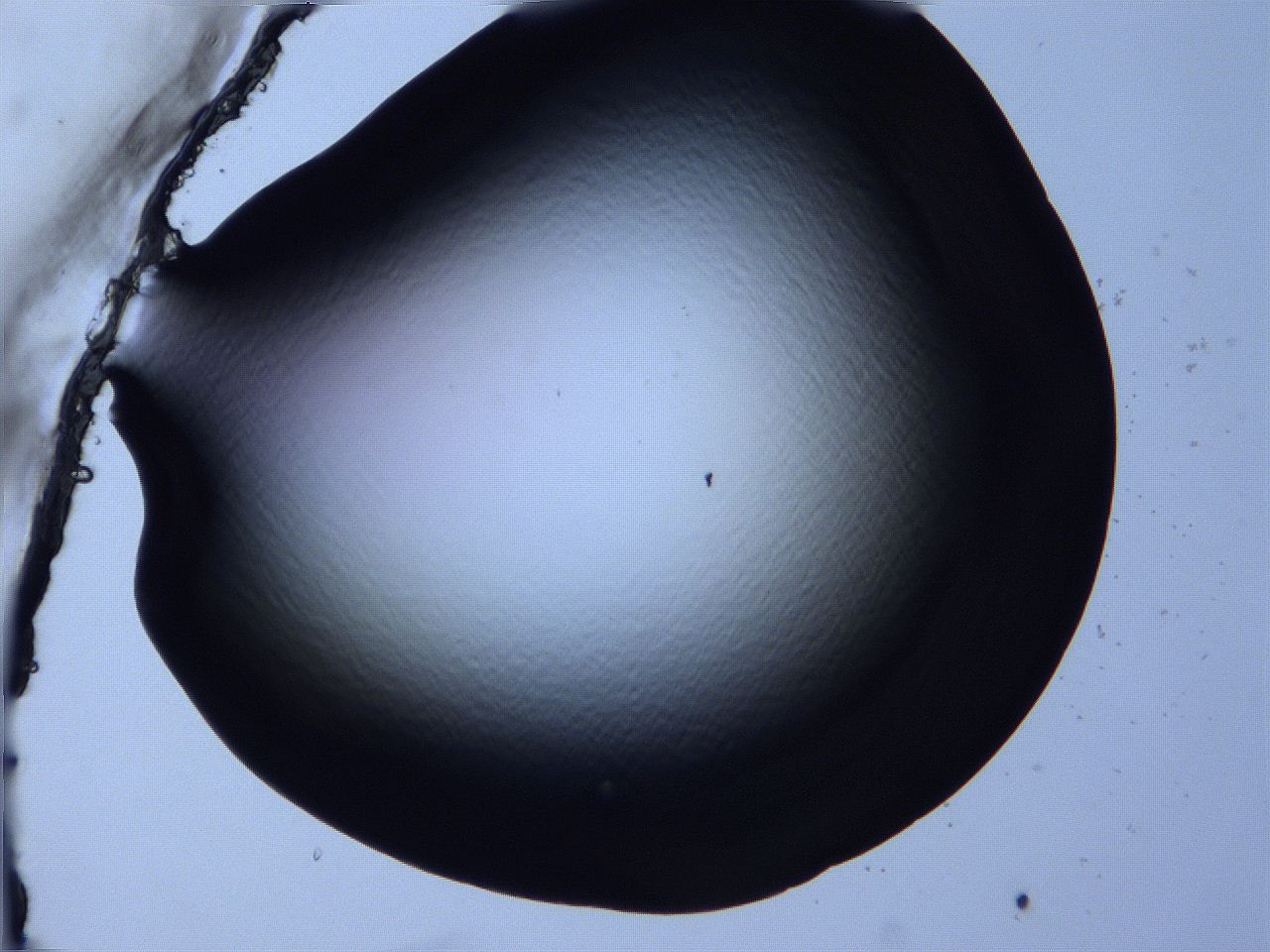 0616_F2_ImagerDefaults_0.jpg