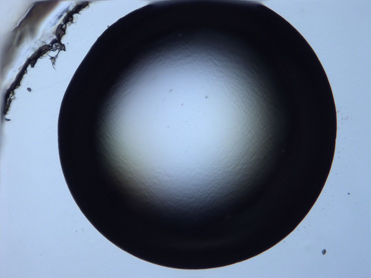 0616_F3_ImagerDefaults_0.jpg