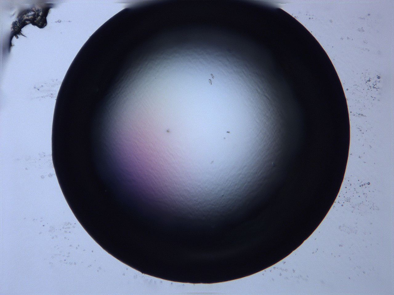 0616_F4_ImagerDefaults_0.jpg