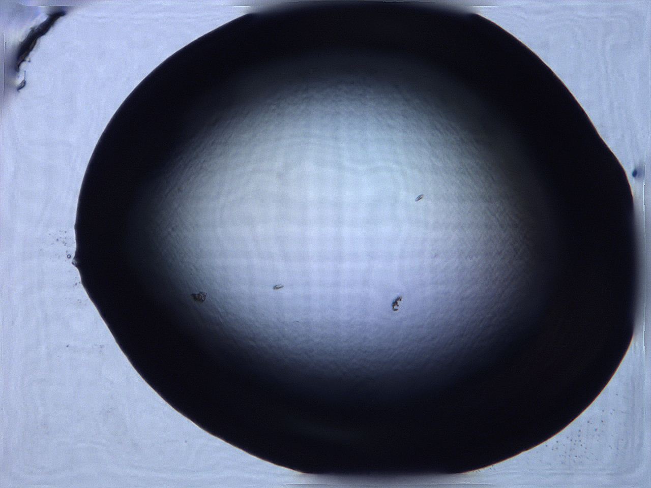 0616_F5_ImagerDefaults_0.jpg