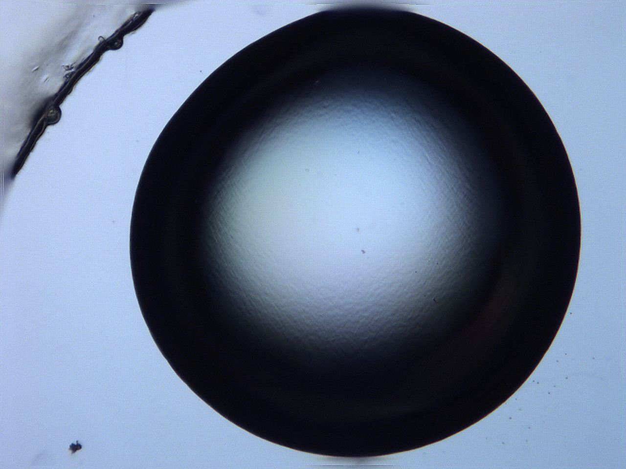 0616_F7_ImagerDefaults_0.jpg