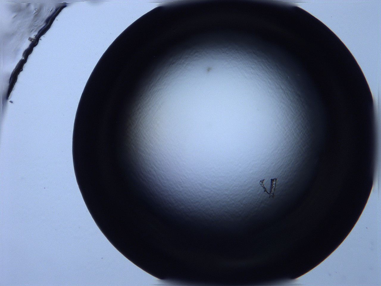 0616_F8_ImagerDefaults_0.jpg