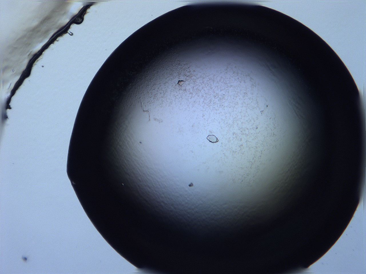 0616_F9_ImagerDefaults_9.jpg
