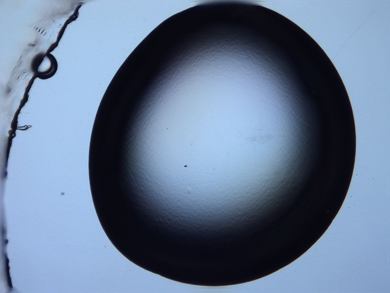 0616_F11_ImagerDefaults_0.jpg