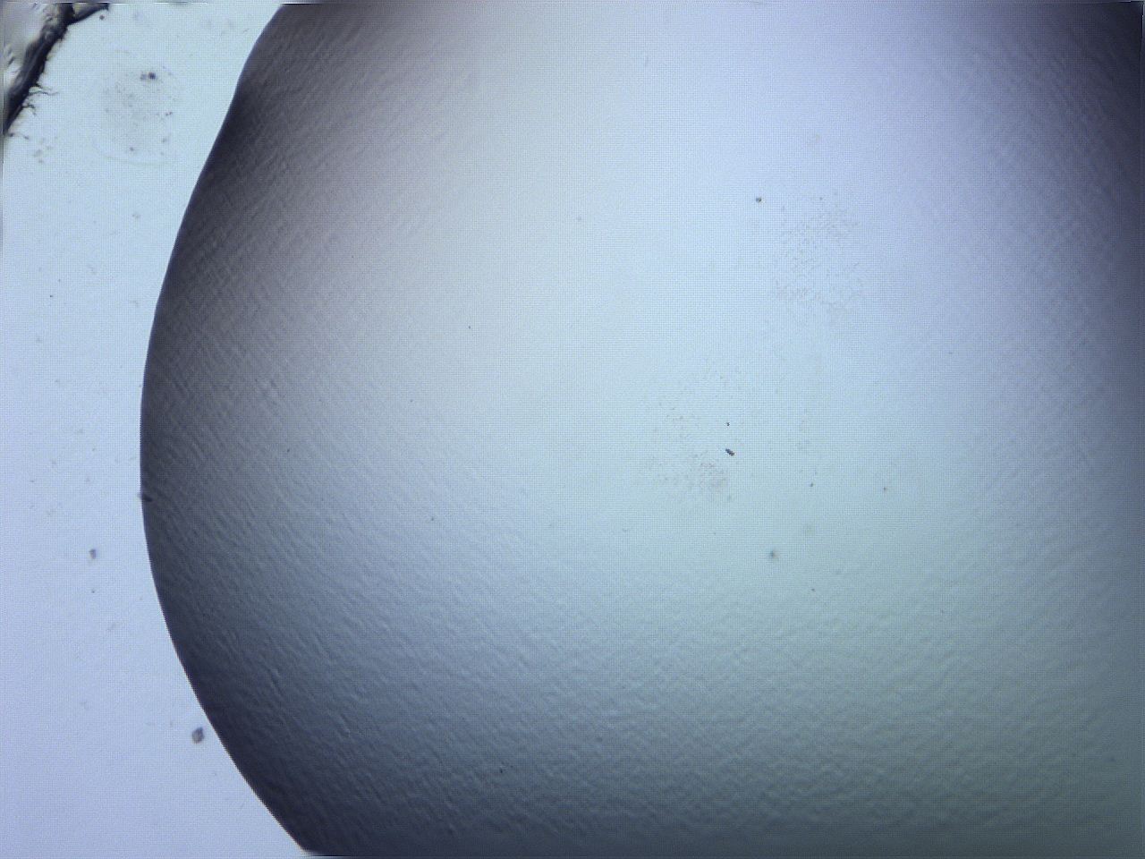 0616_F12_ImagerDefaults_0.jpg