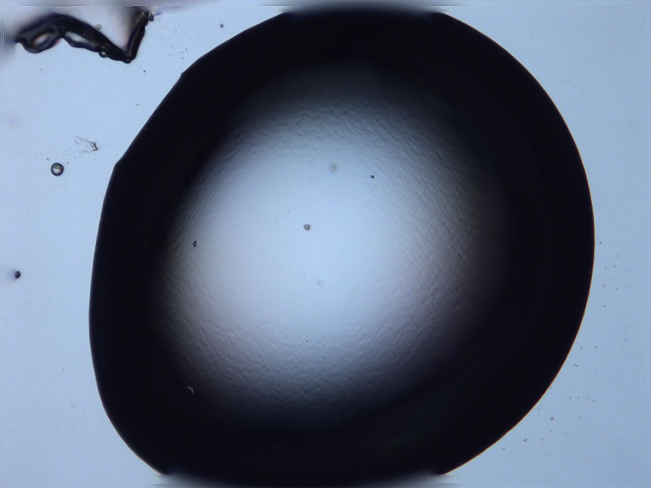 0616_G3_ImagerDefaults_0.jpg