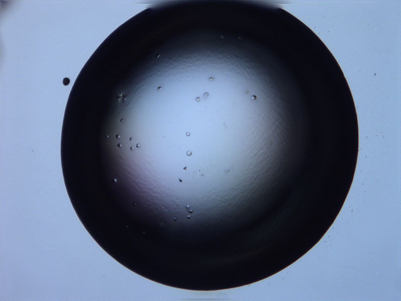 0616_G4_ImagerDefaults_9.jpg