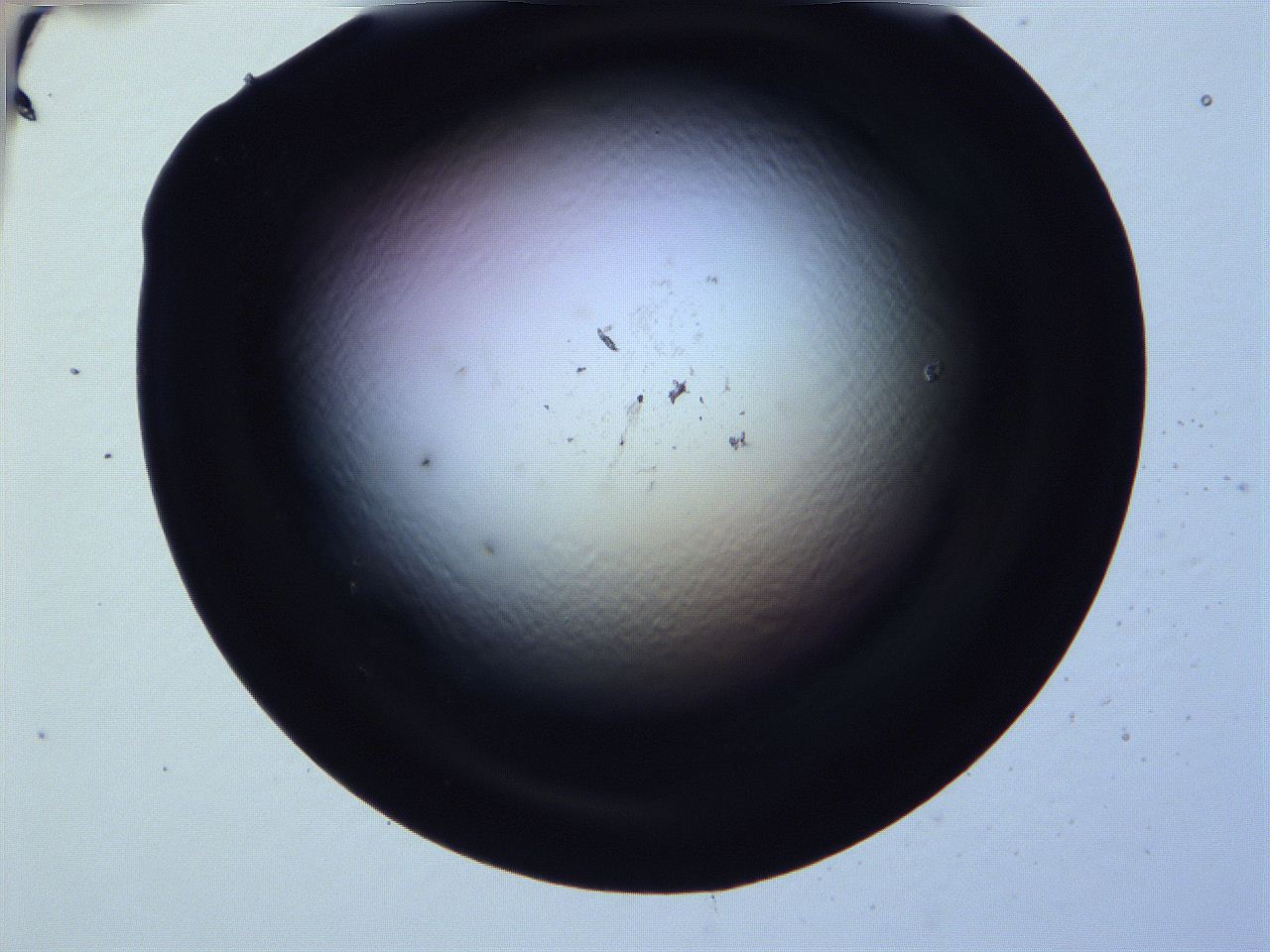 0616_G6_ImagerDefaults_0.jpg