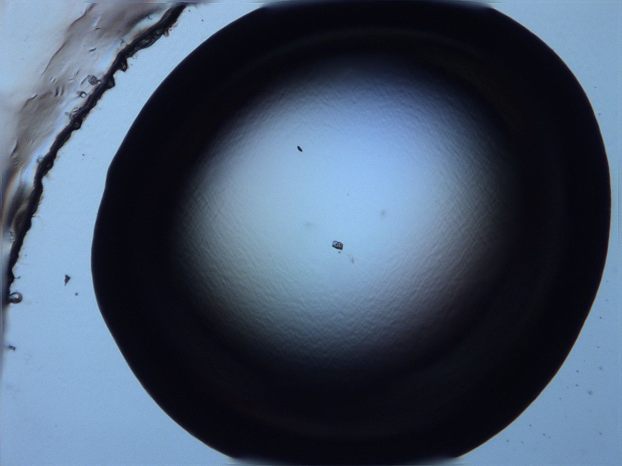 0616_G9_ImagerDefaults_0.jpg