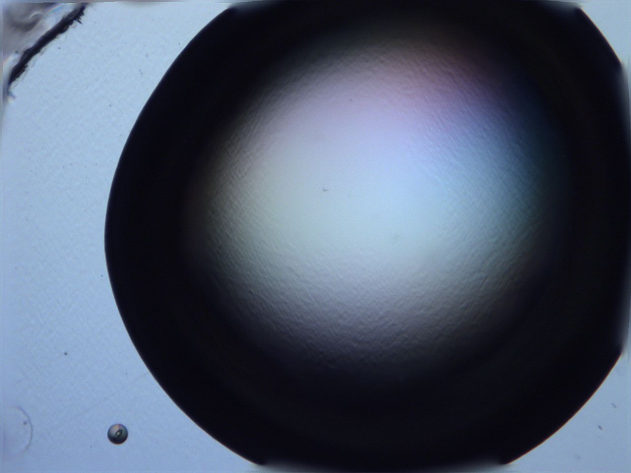 0616_G11_ImagerDefaults_0.jpg