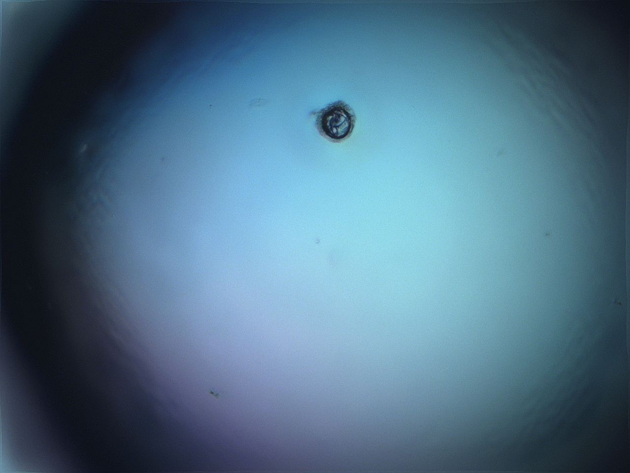0616_H1_ImagerDefaults_0.jpg