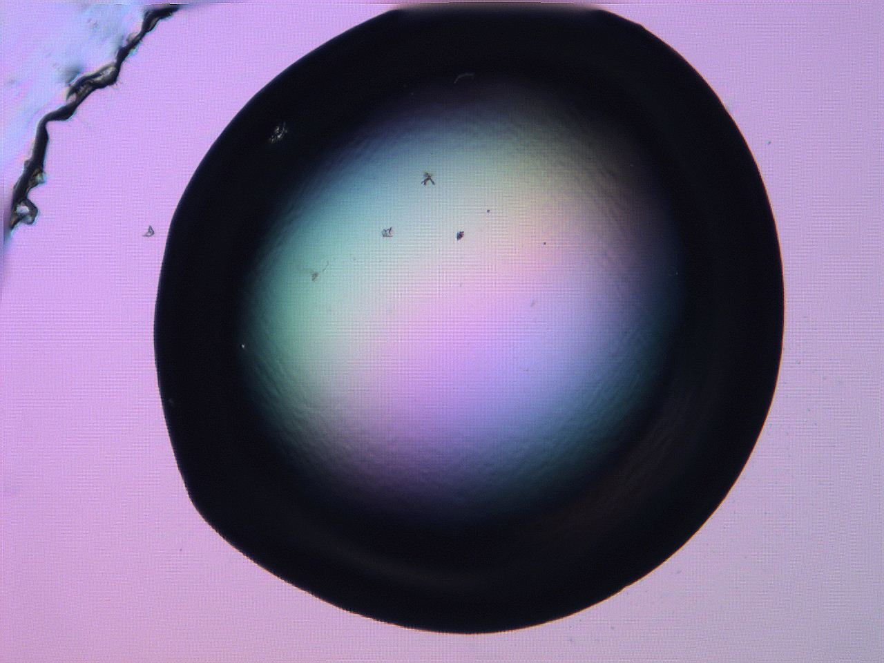 0616_H5_ImagerDefaults_0.jpg