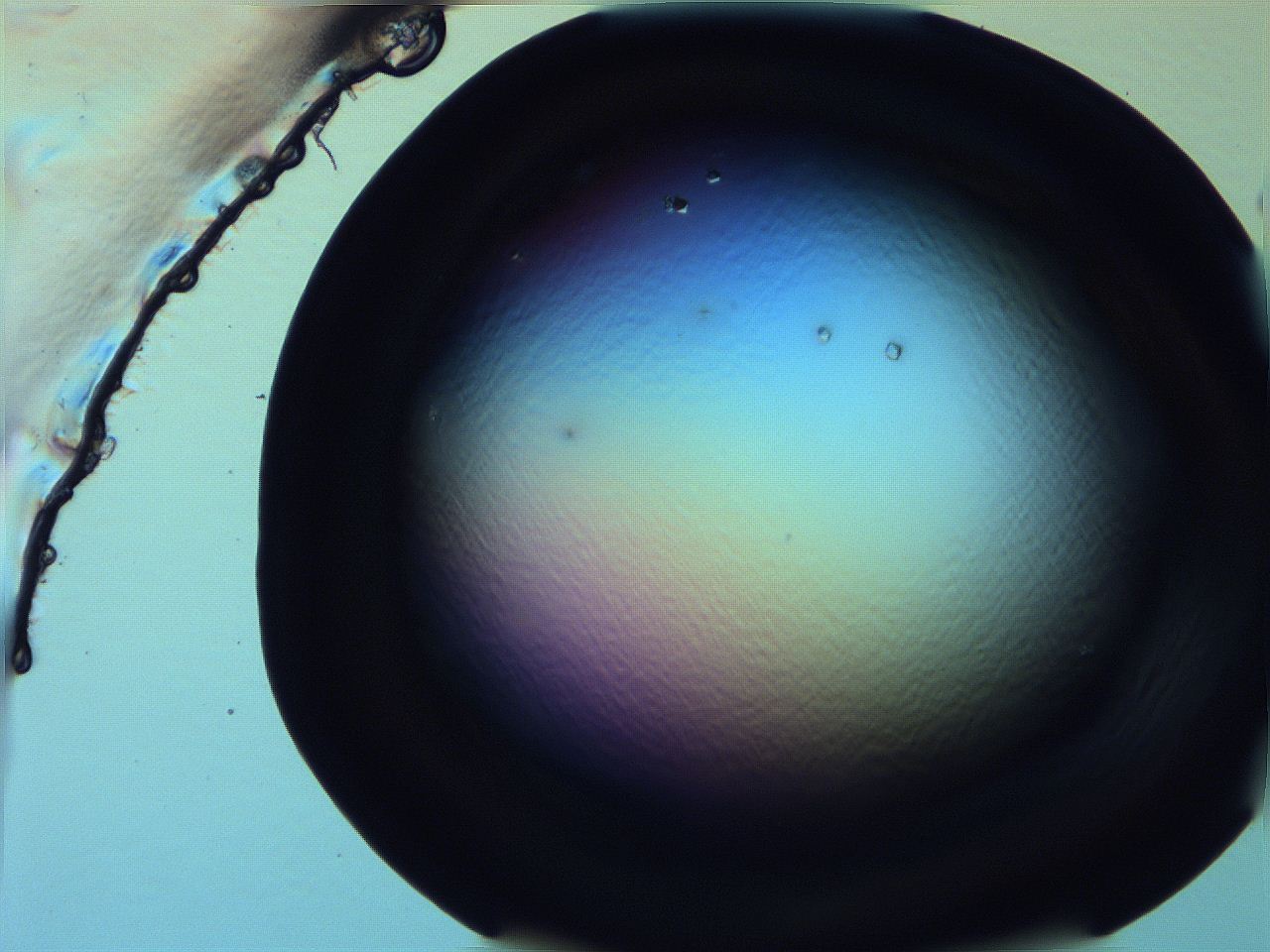 0616_H7_ImagerDefaults_9.jpg