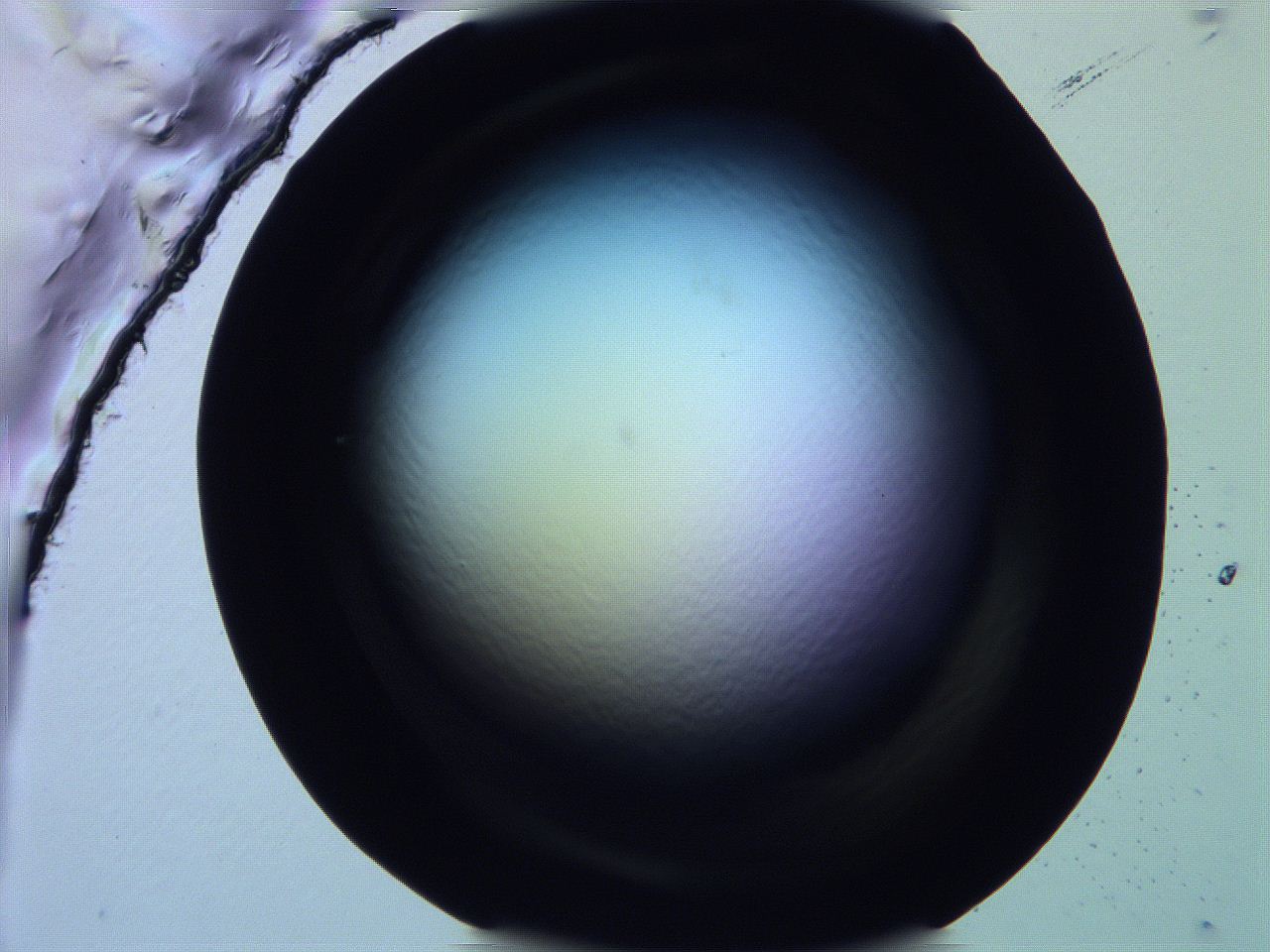 0616_H9_ImagerDefaults_0.jpg