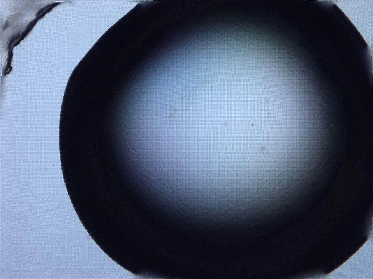 0616_H10_ImagerDefaults_0.jpg