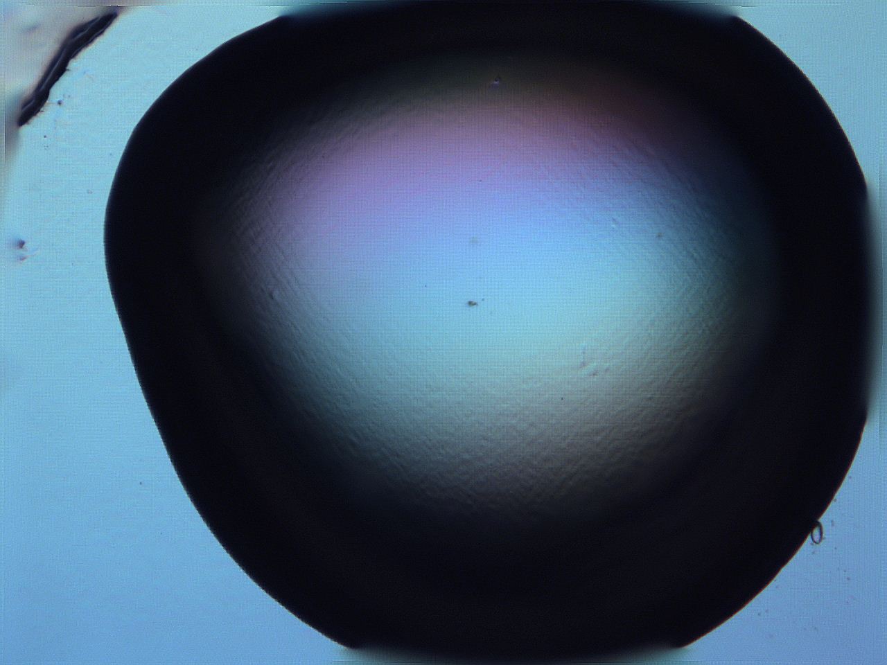 0616_H11_ImagerDefaults_0.jpg