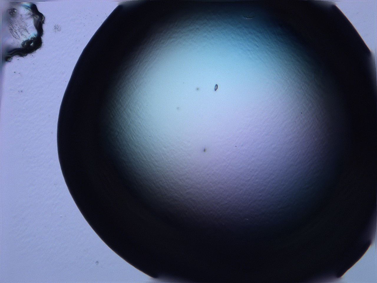 0616_H12_ImagerDefaults_0.jpg