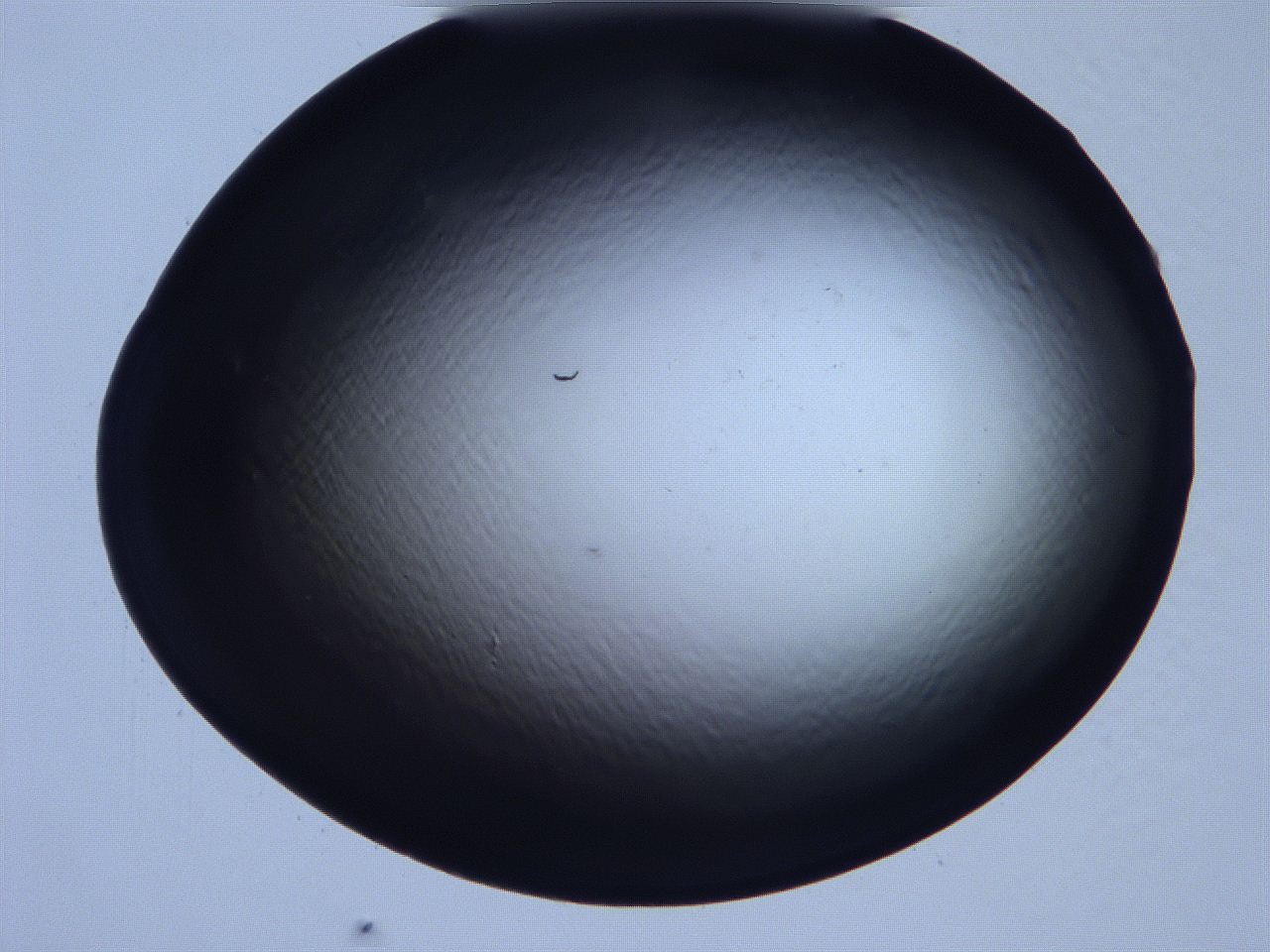 061h_G6_ImagerDefaults_0.jpg