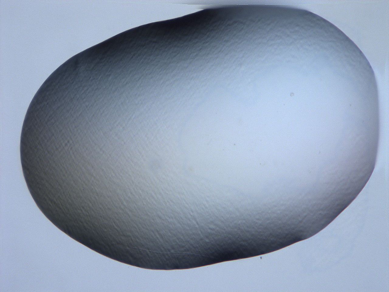 061h_F4_ImagerDefaults_0.jpg