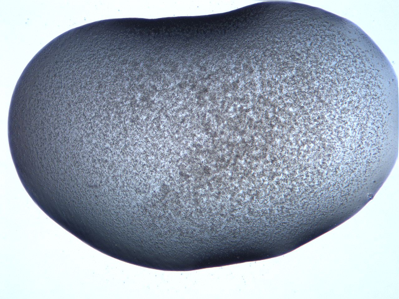 061h_F7_ImagerDefaults_3.jpg