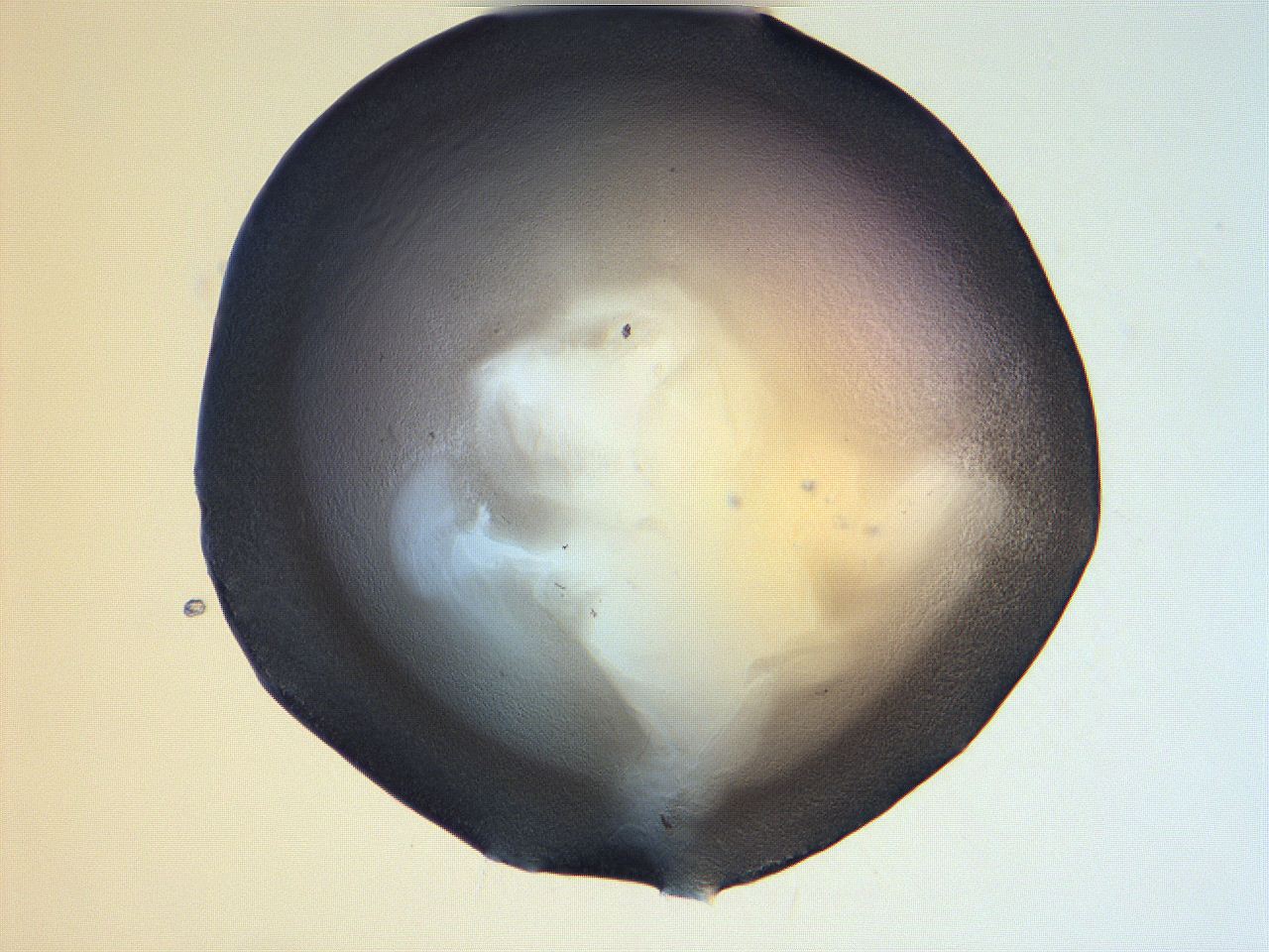 061h_E12_ImagerDefaults_3.jpg