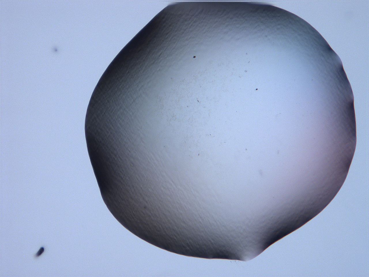 061h_C9_ImagerDefaults_0.jpg
