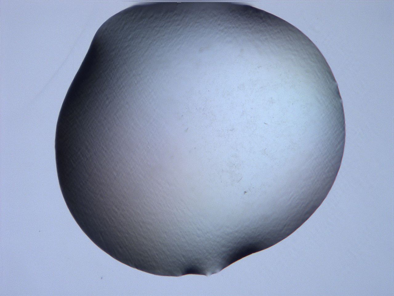 061h_C10_ImagerDefaults_0.jpg