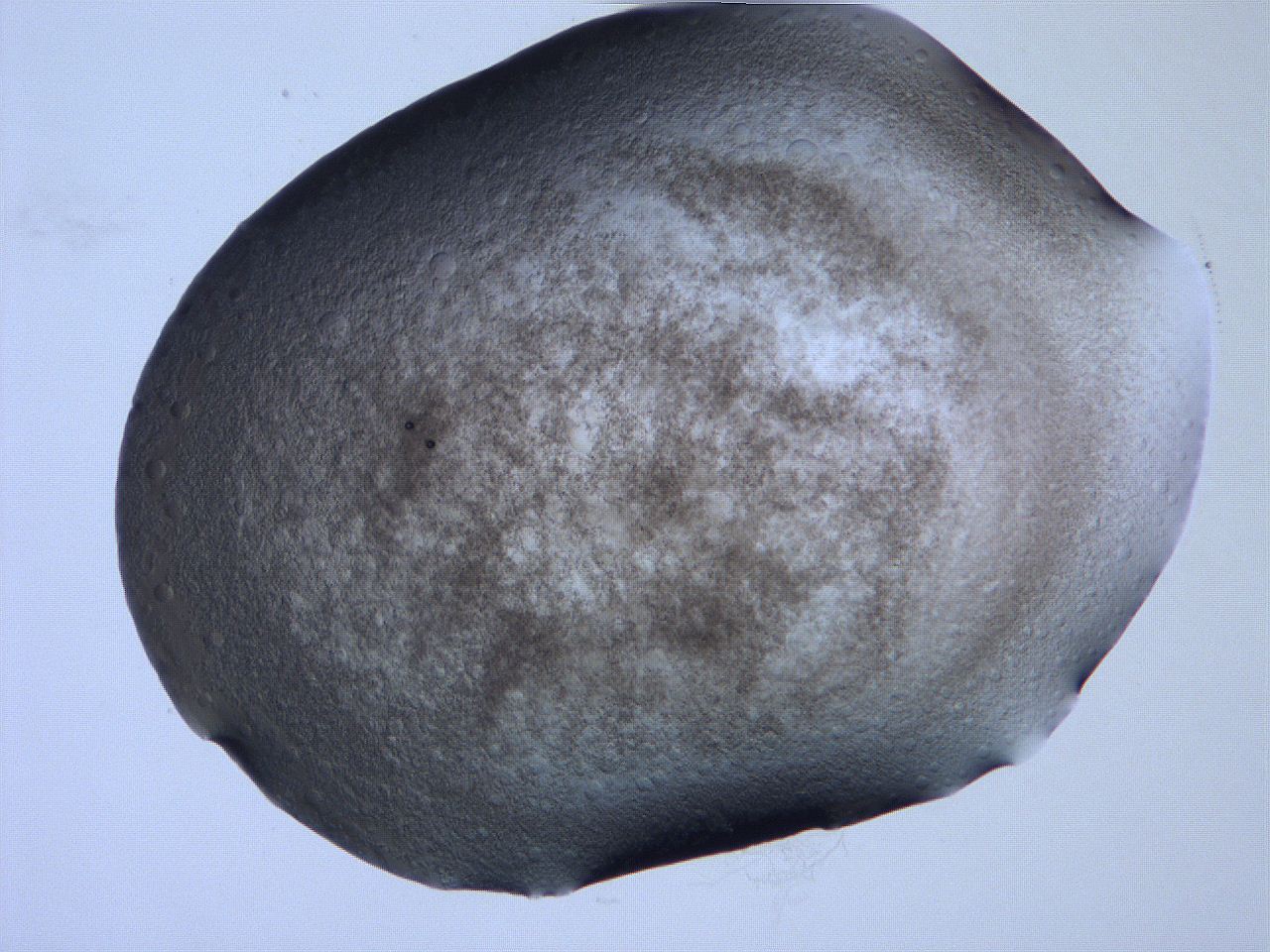 061h_C11_ImagerDefaults_3.jpg