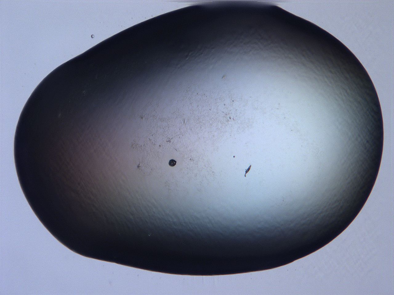 061h_D6_ImagerDefaults_0.jpg