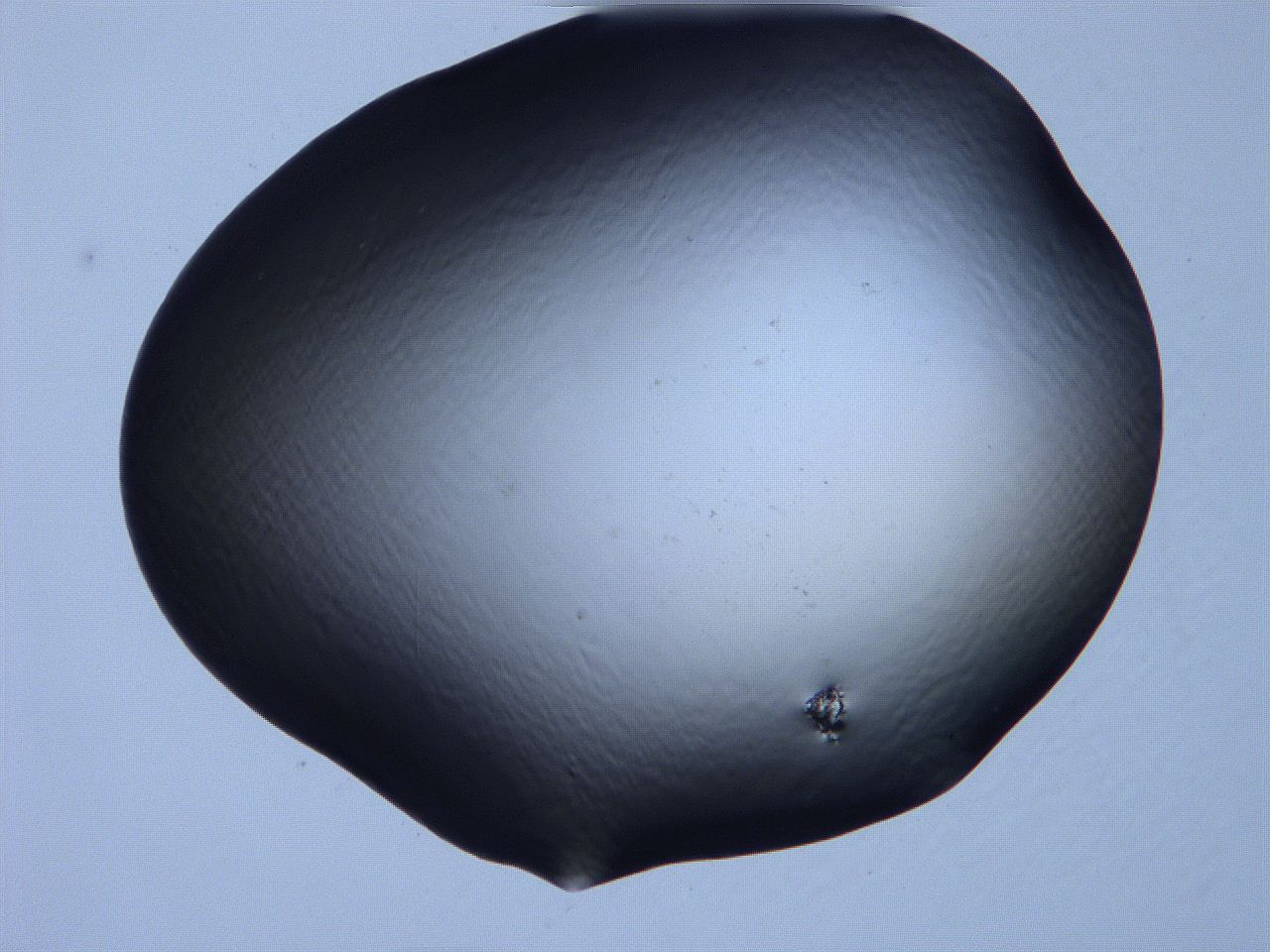 061h_D7_ImagerDefaults_0.jpg
