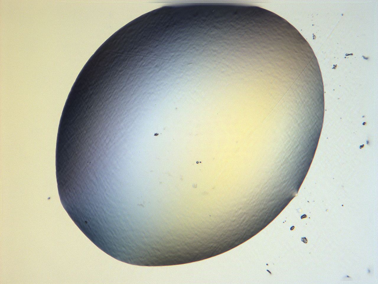 061h_F12_ImagerDefaults_0.jpg
