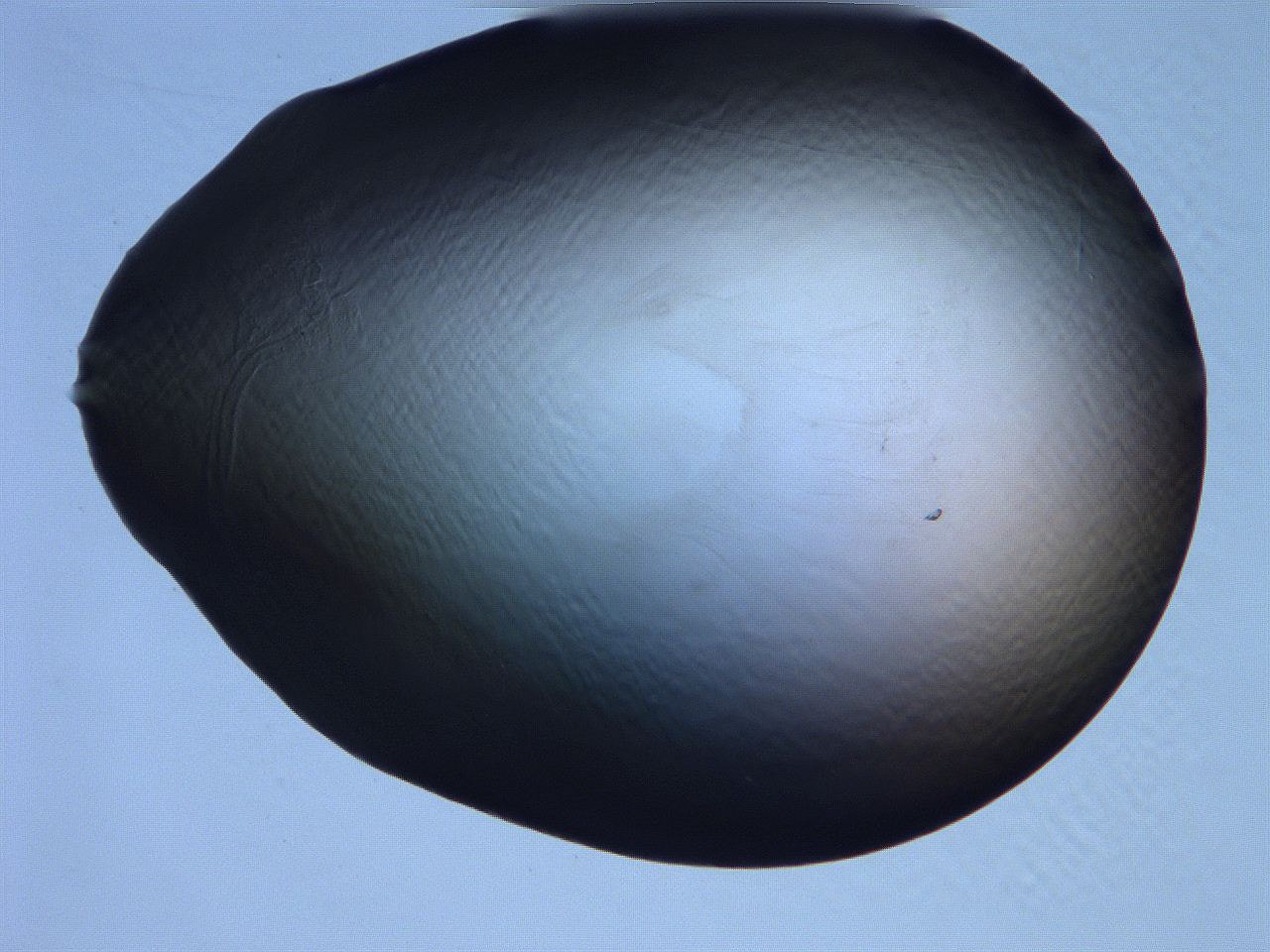 061h_B11_ImagerDefaults_0.jpg