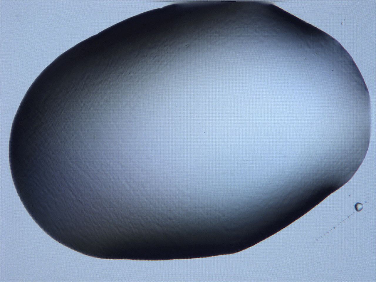 061h_A2_ImagerDefaults_0.jpg