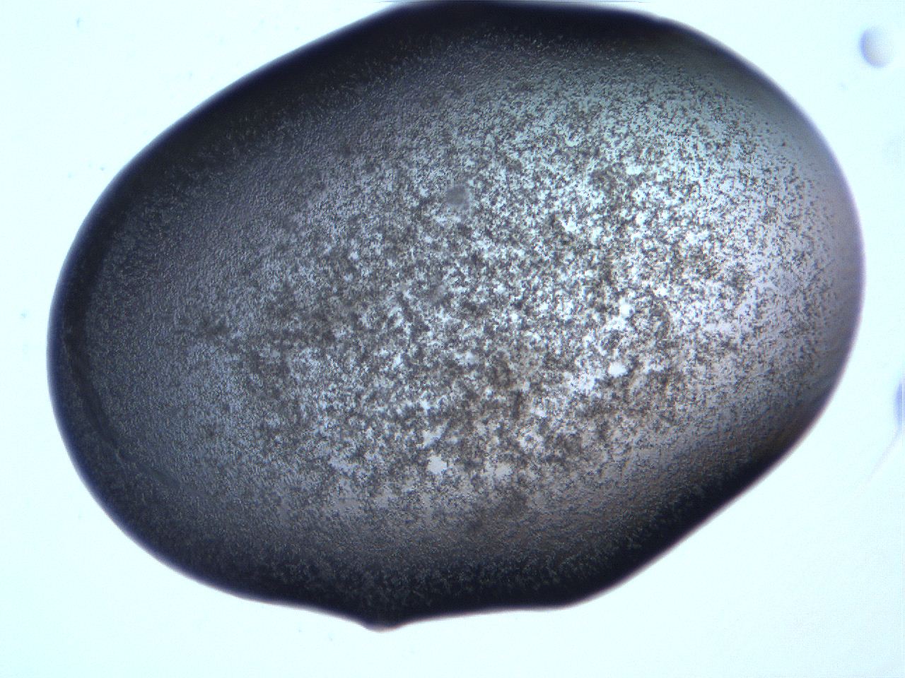 061h_A3_ImagerDefaults_3.jpg