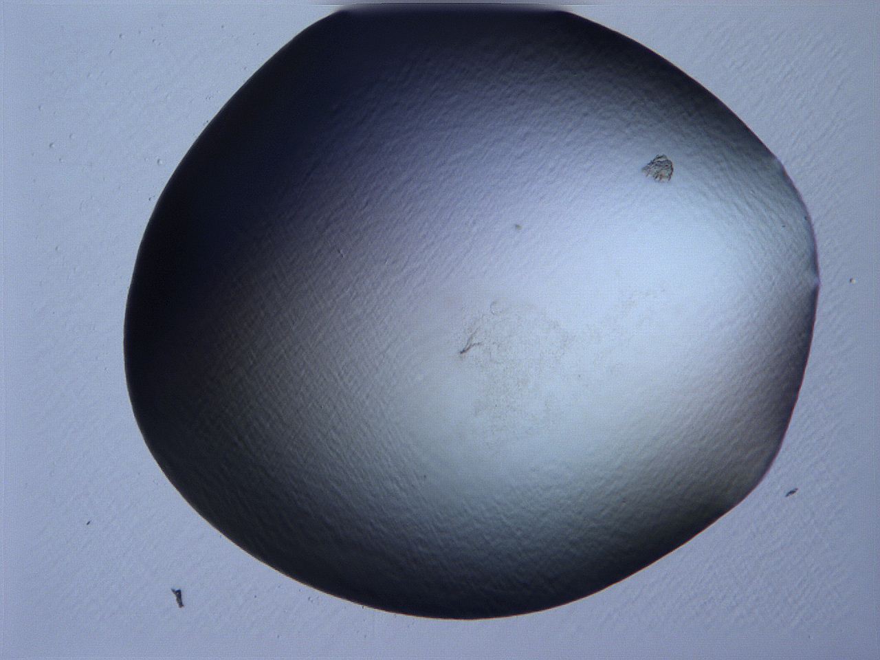 061h_A5_ImagerDefaults_0.jpg