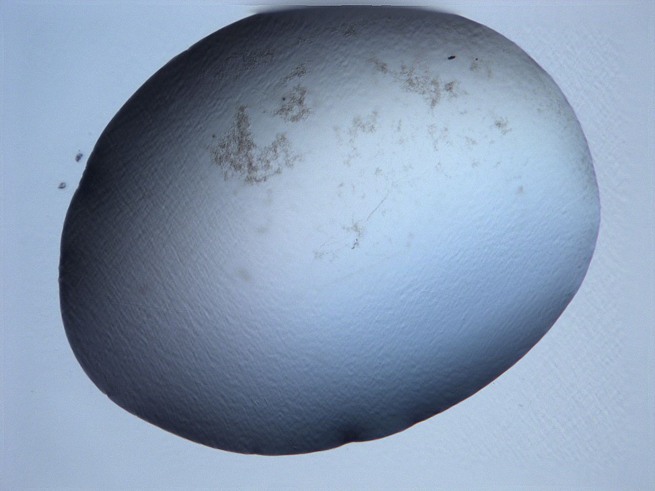 061h_A8_ImagerDefaults_3.jpg